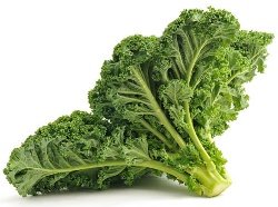 Green Leafy Kale